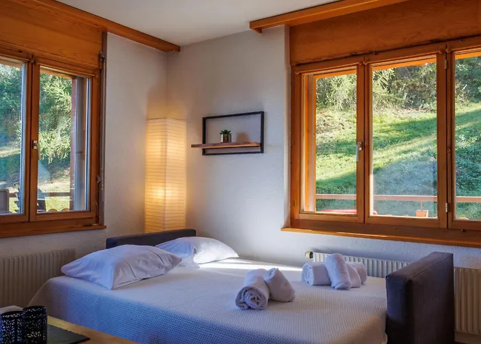 Ambassador 1-6 By Interhome Daire