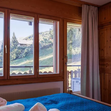 Ambassador 1-6 By Interhome *