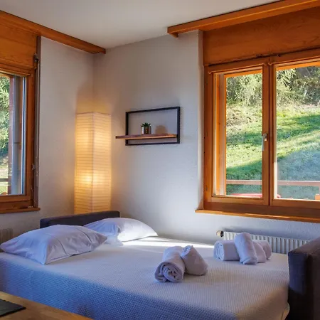 Ambassador 1-6 By Interhome 公寓